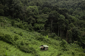 Reishütte auf dem Doi Inthanon – Thailand von Hugo Westendorp