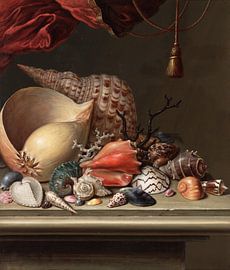 Still life with shells, C.F.D. Diet by Teylers Museum