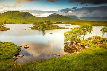 Glencoe sur Antwan Janssen