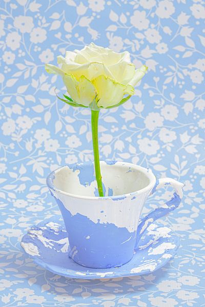 Still life 'peeled by Willy Sengers