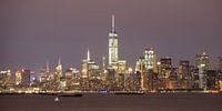 Ligne d'horizon de Manhattan à New York le soir, vue de Staten Island, panorama par Merijn van der Vliet Aperçu