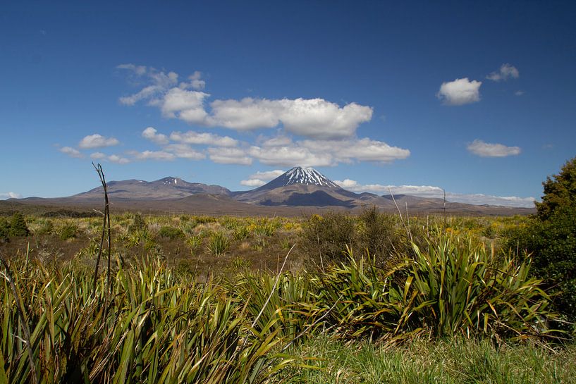 Der Berg Tongariro von Laura Koppen