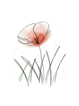 Coquelicot à l'aquarelle - Illustration florale