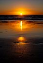 footsteps in the sand by Xenia Blair thumbnail