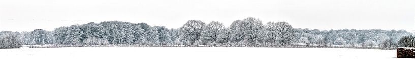zeer grote panorama opname van een winters landschap in Groningen Nederland van Margriet Hulsker