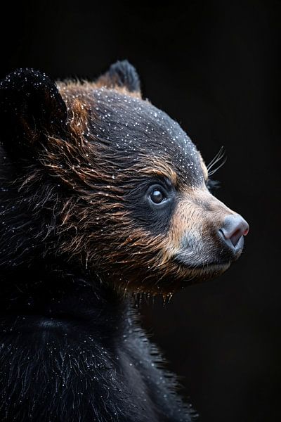 Portret van een beer in de regen van Art & Soul Creations