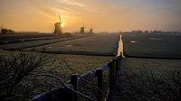 Sunny Windmills