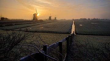 Sonnige Windmühlen von Sjon de Mol