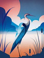 Flamant dans la nature
