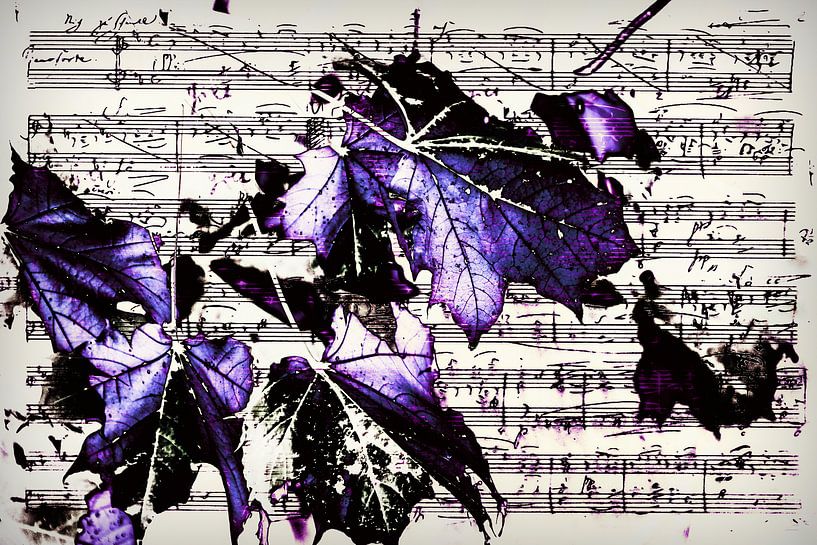 Sheet of music with purple leaves by Christine Nöhmeier