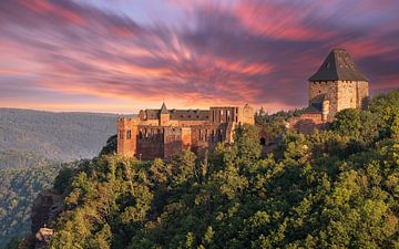 Burg Nideggen, Eifel, Nordrhein-Westfalen, Deutschland von Alexander Ludwig