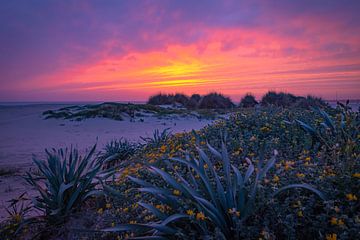 Sunset Conil de la Frontera by Willemijn Wolthaus