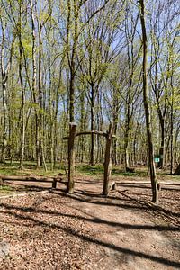Rad- Wanderweg  in der Goor
