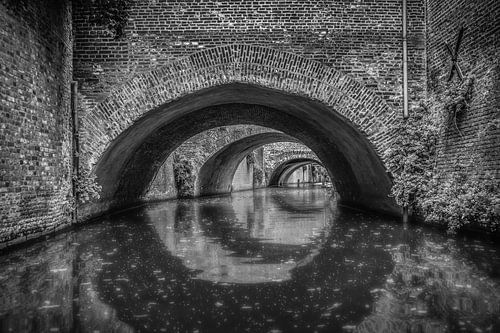 The Binnendieze in 's Hertogenbosch