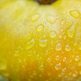 A Orange Tomato with Raindrops I by Iris Holzer Richardson