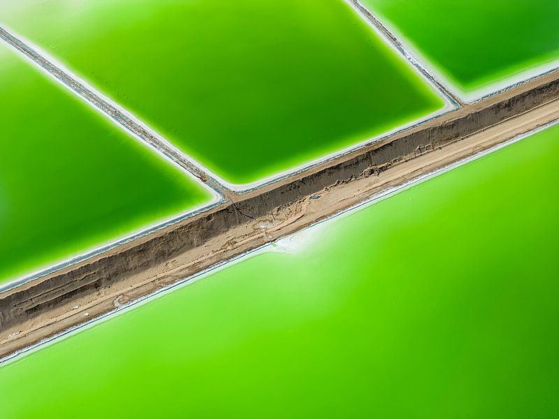 Bright green, abstract by Anna Martin