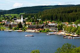 Titisee von Jürgen Wiesler