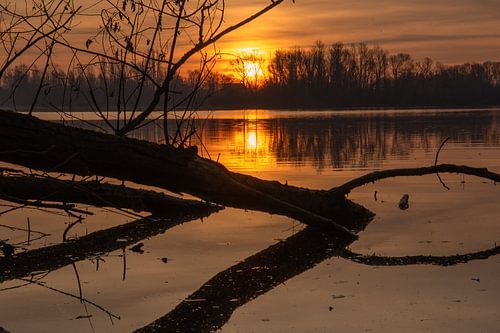 oranje zonsopkomst