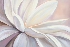 White floral splendour - delicate elegance by Poster Art Shop
