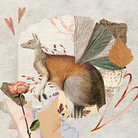Zoogdieren