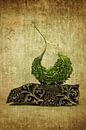 Still life. Exotic Asian. by Alie Ekkelenkamp thumbnail