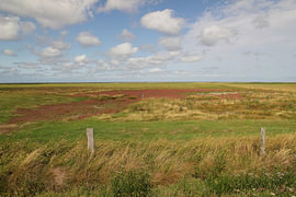 Idylle des marais salants – Douces harmonies de couleurs du littoral – Photographie sur Nordlicht Atelier