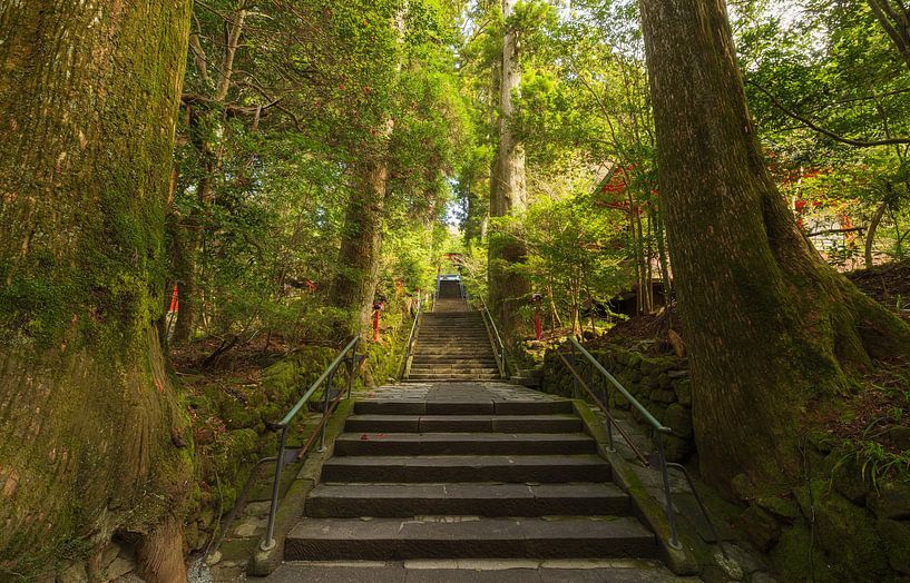 Hakone - Ashi-See - Hakone-Schrein (Japan) von Marcel Kerdijk
