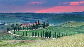 Avenue of Cypresses in Tuscany by Menno Schaefer
