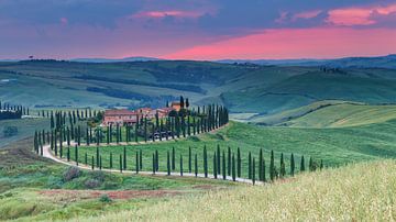 Cipressenlaan in Toscane van Menno Schaefer