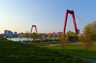Willemsbrug Rotterdam vanaf 'Ons Park' van Sebastiaan van Hattum thumbnail