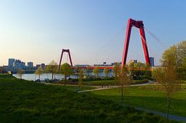 Willemsbrug Rotterdam vanaf 'Ons Park' by Sebastiaan van Hattum