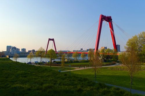 Willemsbrug Rotterdam vanaf 'Ons Park'