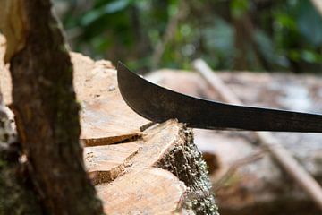 Machette klieft het hout van rene marcel originals