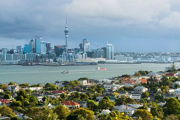 Auckland by Rainer Mirau
