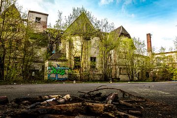 In verval geraakt longsanatorium - Wanneer de natuur het verleden omarmt van InfiniteArtLabs