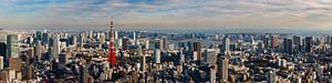 Uitzicht op de de skyline van Tokyo met de Tokyo Tower van Juriaan Wossink