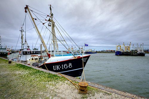 Fishing cutter UK-168 in the port of Lauwersoog
