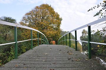 Brug / bridge sur Henk de Boer