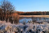 Winters sfeertje in de Herfst