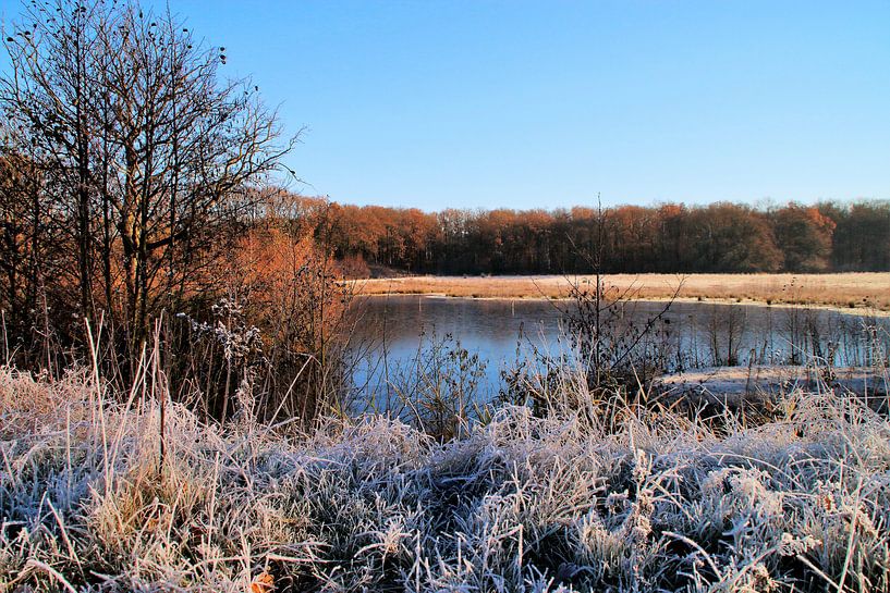 Winters sfeertje in de Herfst par Angelique van den Rijzen
