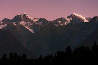 Aoraki/Mount Cook und Mount Tasman, vom Lake Matheson am Fox Glacier, Neuseeland von Paul van Putten Miniaturansicht