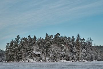 winter schuilhut  in de besneeuwde bomen 2 van Geertjan Plooijer