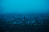 ersonnage dans un paysage bleu brumeux