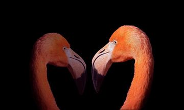 Flamingo's way grafische olie verf van Lynlabiephotography