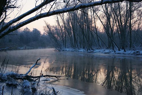 Winter in de Biesbosch