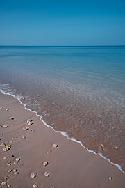 Tropical beach with gentle waves by Troy Wegman