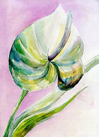 Anthurium- Flamingo bloem van Claudia Gründler