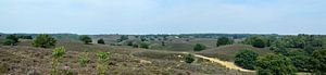 Posbank Heide Panorama