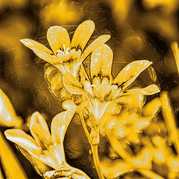 Digital Art Medium Blumen Gold von Hendrik-Jan Kornelis
