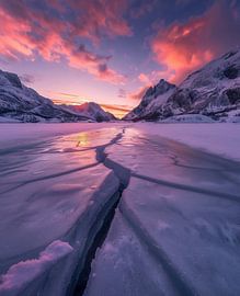 Winter dream bathed in light